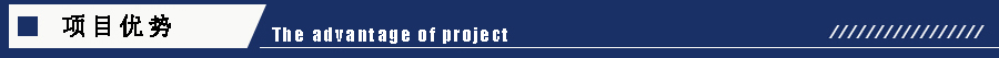 1605170470199541.jpg 項目優勢.jpg